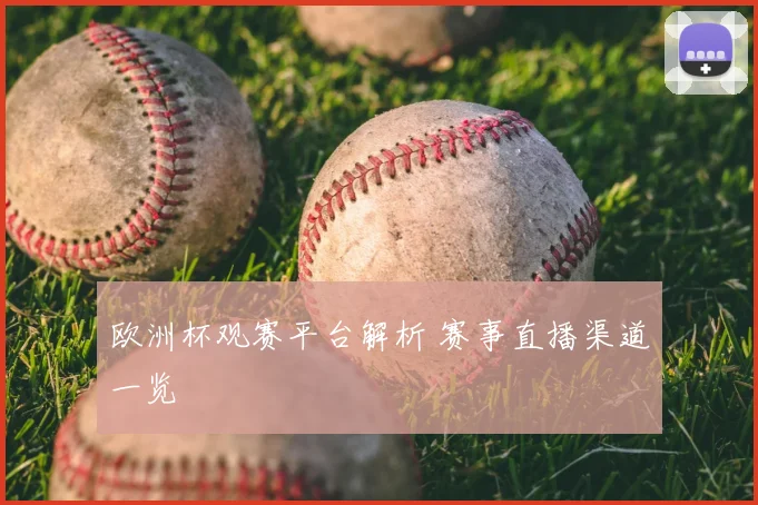欧洲杯观赛平台解析 赛事直播渠道一览