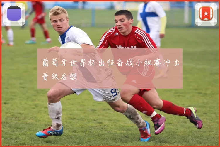 葡萄牙世界杯出征备战小组赛冲击晋级名额