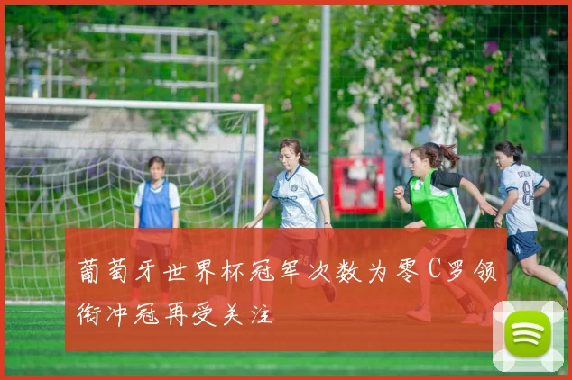 葡萄牙世界杯冠军次数为零 C罗领衔冲冠再受关注